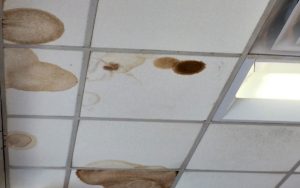 remove ceiling water stains