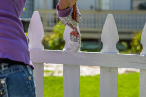 paint or stain my fence